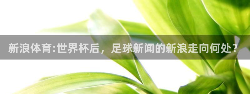 nba飞速直播在线观看：新浪体育:世界杯后，足球新闻的新浪走向何处？