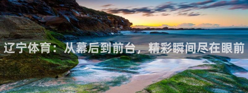 飞速直播直播：辽宁体育：从幕后到前台，精彩瞬间尽在眼前