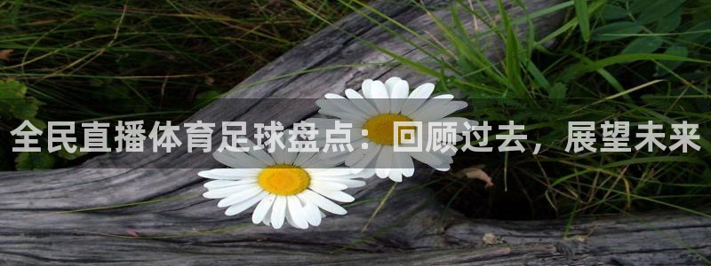 飞速直播体育篮球：全民直播体育足球盘点：回顾过去，展望未来