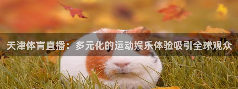 飞速直播nba无插件：天津体育直播：多元化的运动娱乐体验吸引全球观众