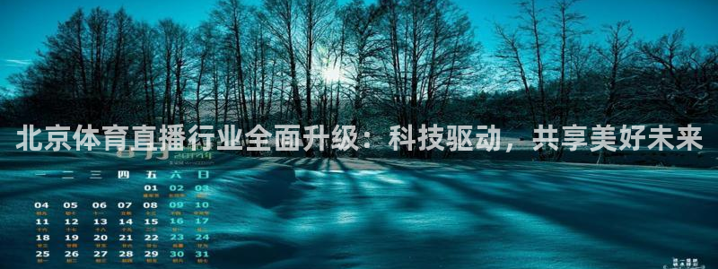 极速体育飞速直播：北京体育直播行业全面升级：科技驱动，共享美好未来