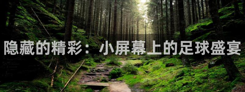 飞速直播吧jrs低调看直播nba：隐藏的精彩：小屏幕上的足球盛宴