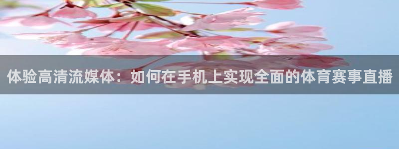 飞速足球直播：体验高清流媒体：如何在手机上实现全面的体育赛事直播