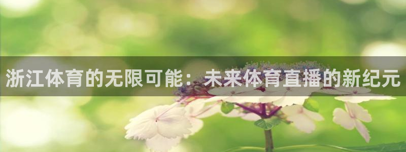飞速直播体育nba在线直播：浙江体育的无限可能：未来体育直播的新纪元