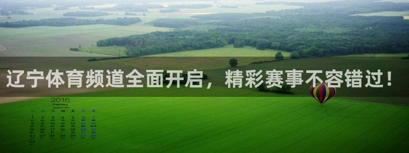 飞速直播篮球直播：辽宁体育频道全面开启，精彩赛事不容错过！