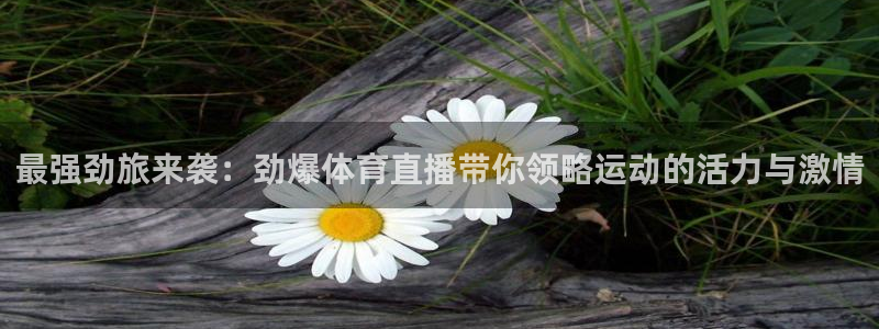 nba无插件飞速直播：最强劲旅来袭：劲爆体育直播带你领略运动的活力与激情